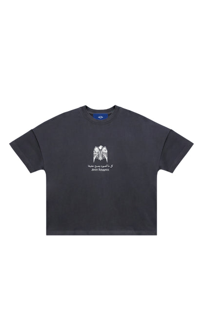 T-shirt Aigle de la vision STV